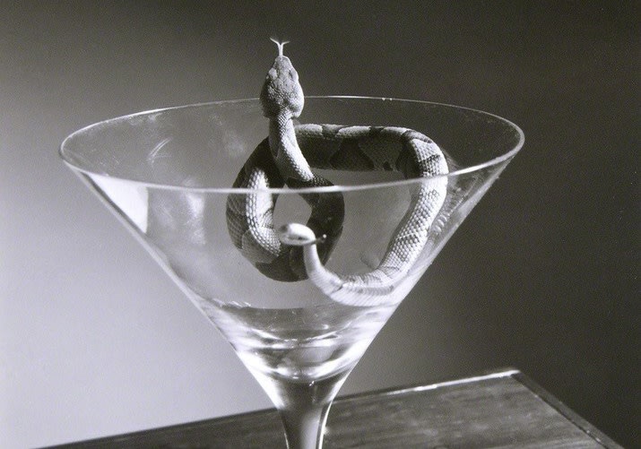 New Visions - Part 1: Still Life Photography