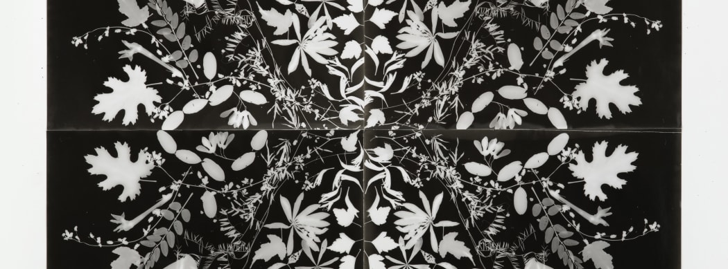 AIPAD-Contemporary Photography-Based Art