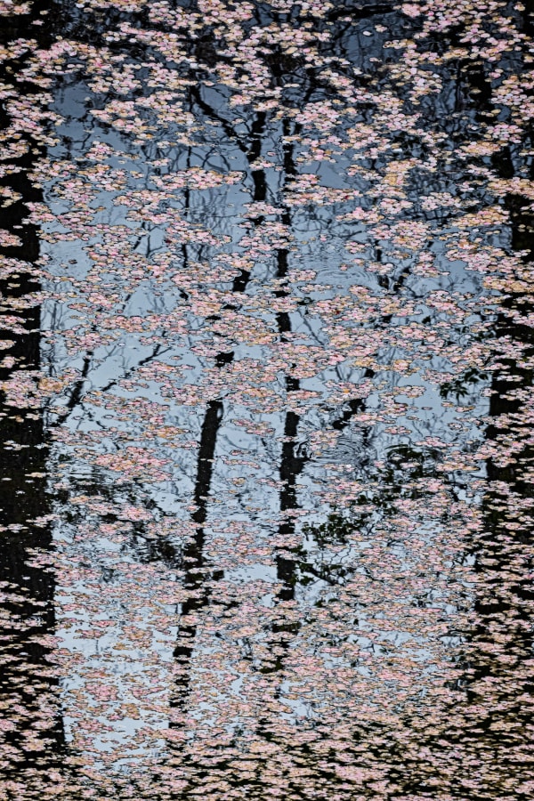 Xuan-Hui Ng, Remembrance #4, 2019