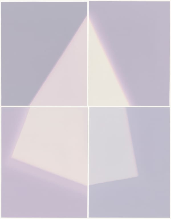 Amanda Marchand - Louisiana Waterthrush, 2022