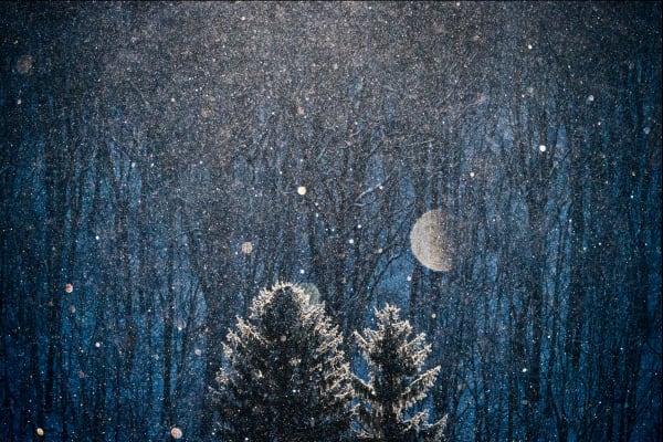 Xuan-Hui Ng, Metamorphosis #4, 2020