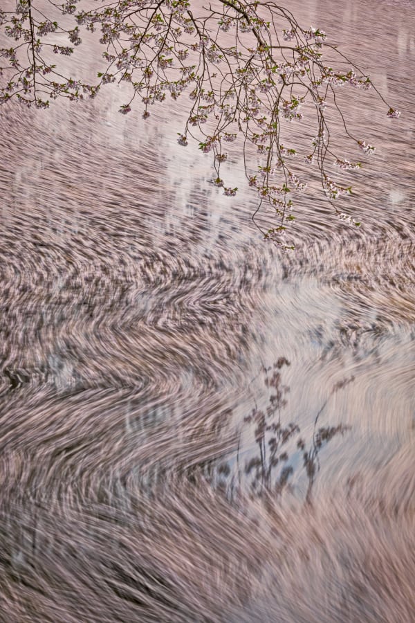 Xuan-Hui Ng, Remembrance #3, 2019