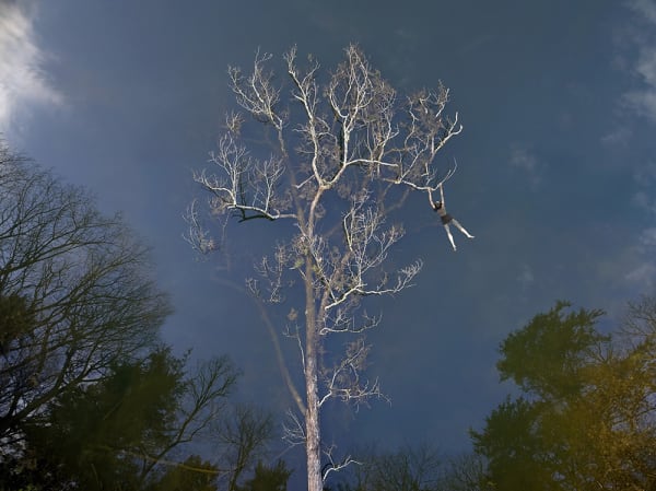 Large tree submerged in water, woman appears hanging from tree but is floating in water.