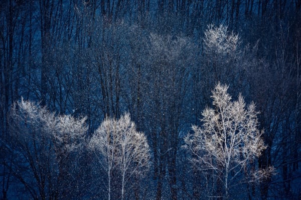 Snowy blue & white landscape by Xuan-Hui Ng