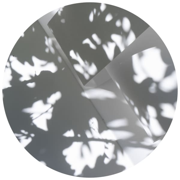 Brenda Biondo: Sky Light