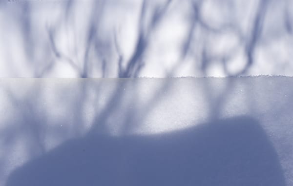 Brenda Biondo at the Center for Fine Art Photography