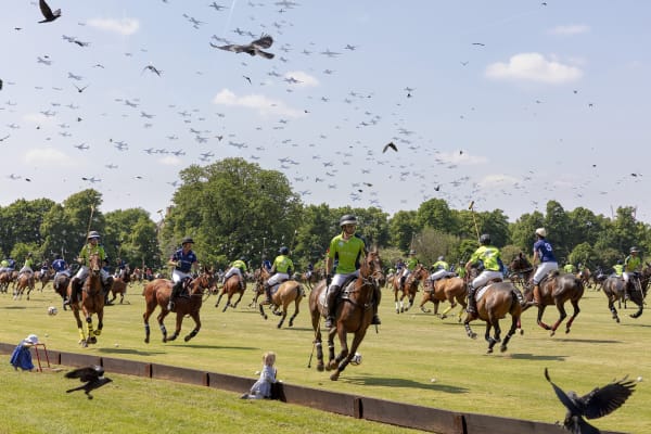 Pelle Cass in Justapoz