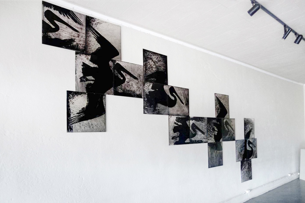 installation of black and white pelican photographs on white wall , photos by S. Gayle Stevens