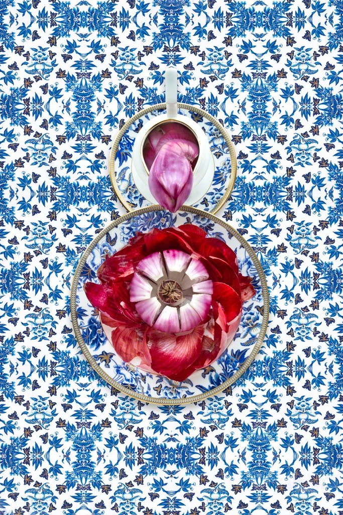 Wedgwood Hibiscus with Red Onion by JP Terlizzi