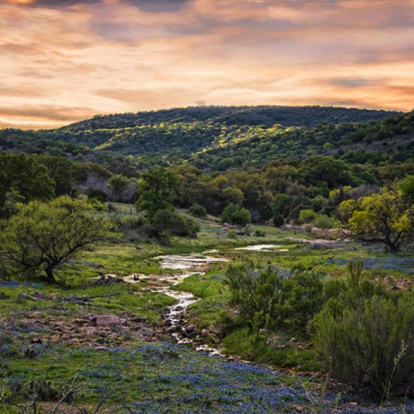 Hill Country Landscape by Mike Marvins