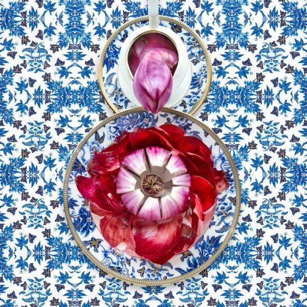 Wedgwood Hibiscus with Red Onion by JP Terlizzi