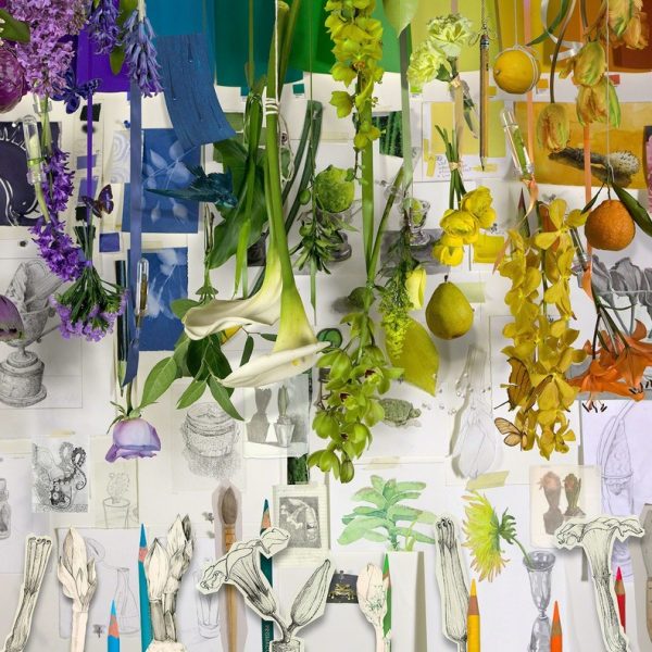 Studio Flower Project by Torrie Groening. Based in Vancouver, Canada, Groening is represented by contemporary fine art photography gallery Foto Relevance in Houston, TX.